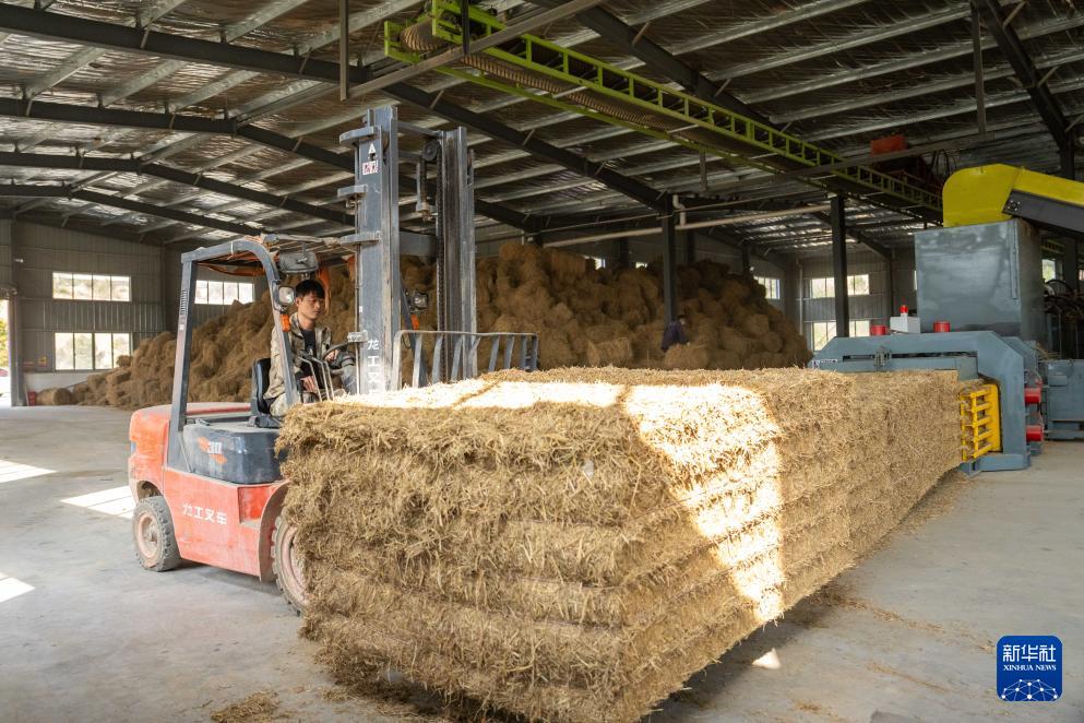 湖南长沙：变废为宝 推进秸秆回收利用(图6)