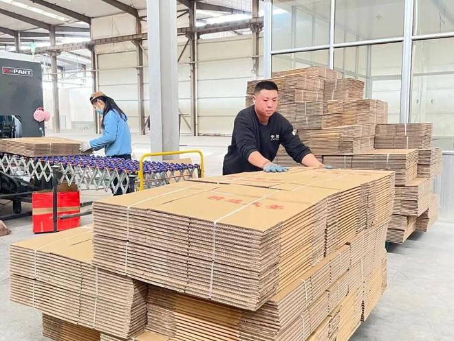 【会员风采】从破茧到蝶变：安丘再生资源产业的绿色崛起之路(图2)