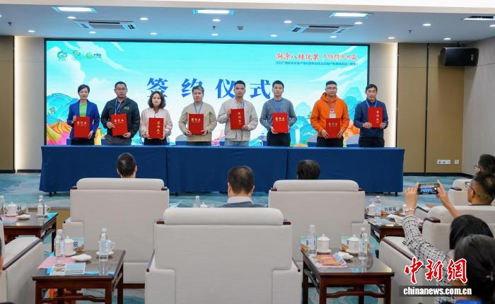 广西搭建秋冬水果产销对接桥梁 助力“桂果”畅销全国(图3)