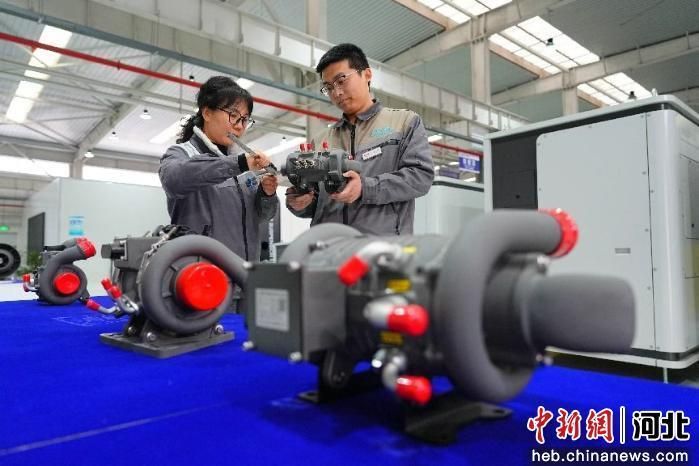 你早河北｜今年春运哪最堵；河北有9家“独角兽”；人民日报四评西贝关店；事关格陵兰岛特朗普改口(图8)