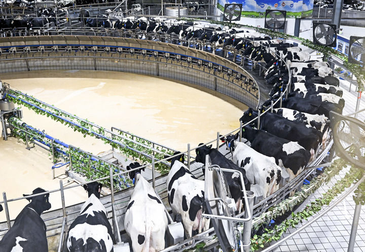 推动农业农村现代化再上新台阶——从中央一号文件看2026年“三农”工作路线图(图2)