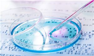 再生资源产业调研 2023再生资源行业未来发展前景(图3)