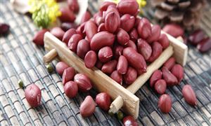 2022我国再生资源回收市场规模与发展政策(图5)