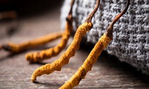 2022我国再生资源回收市场规模与发展政策(图6)